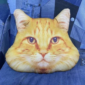 Подушки с фото: подушка Руденький Кіт